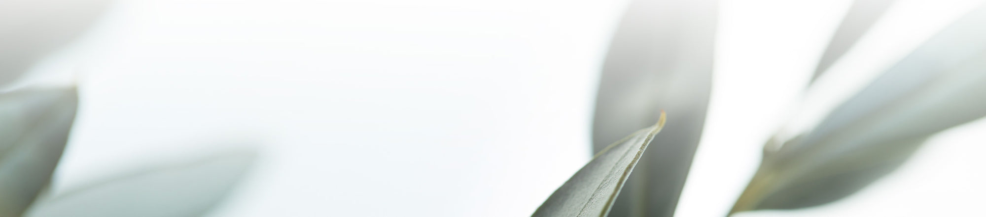 Natelia Naturals Collection Banner