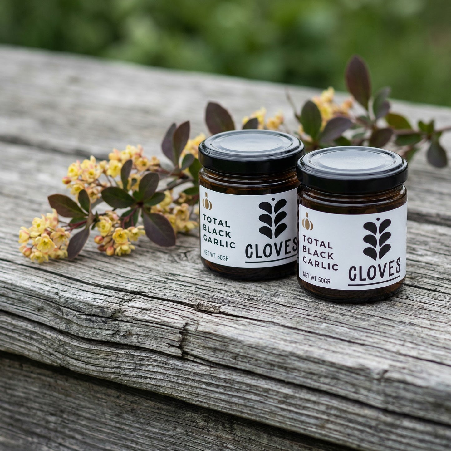 DAS GESUNDHEITS-DUO – THE GOVERNOR Premium + Schwarze Knoblauchpaste