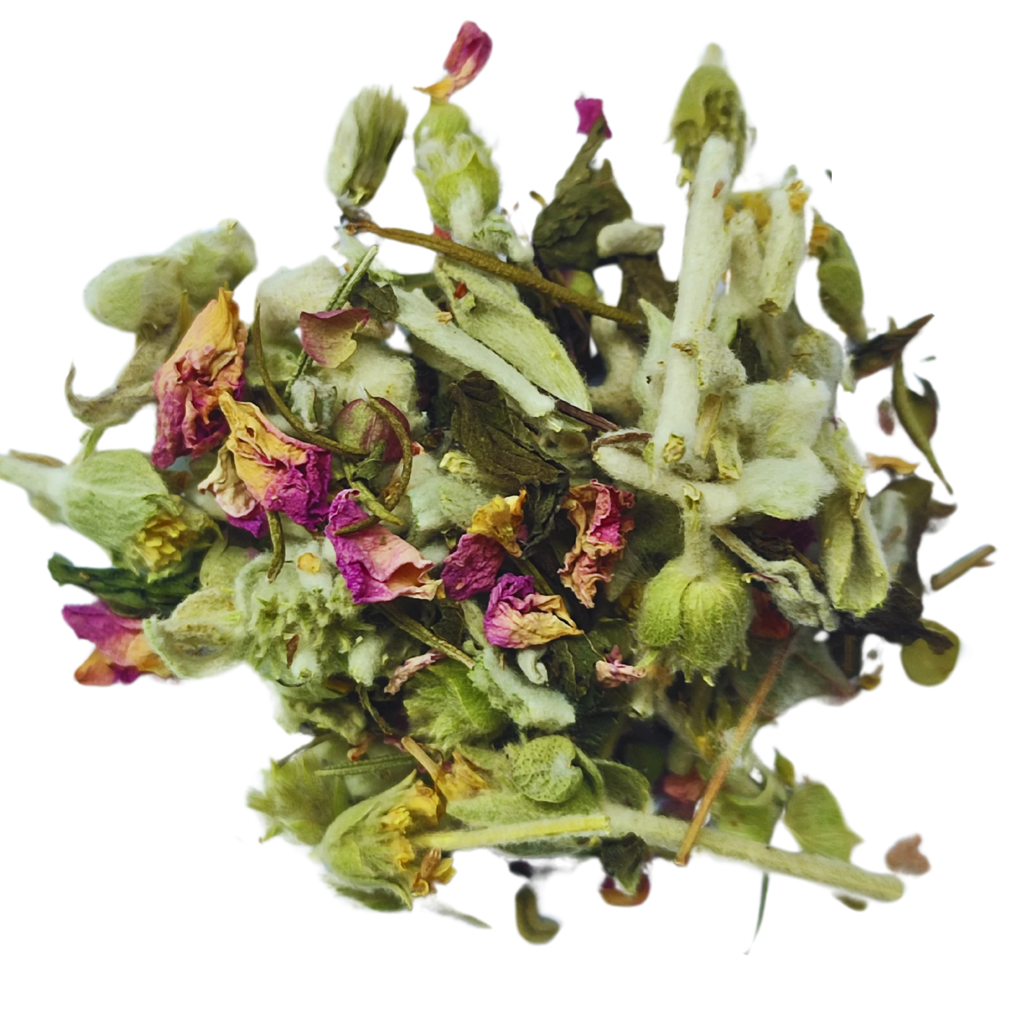 Multi Booster – Mélange de tisanes | 50 g en sachet refermable