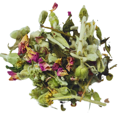 Multi Booster – Mélange de tisanes | 50 g en sachet refermable